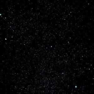 Meet your Posher, Isaiah